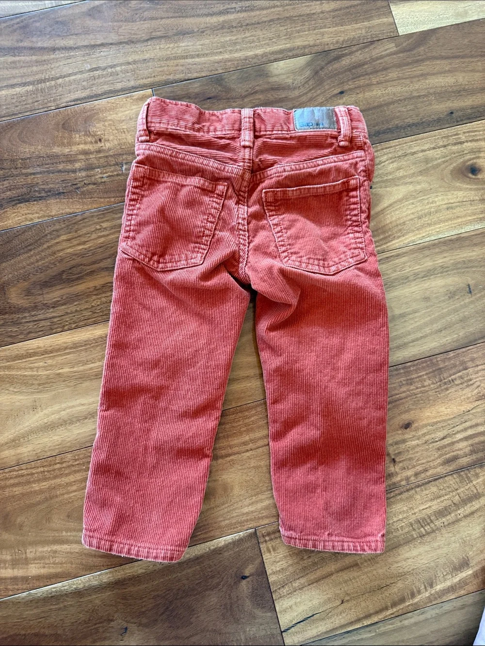 GAP Corduroy Pants in Terracotta